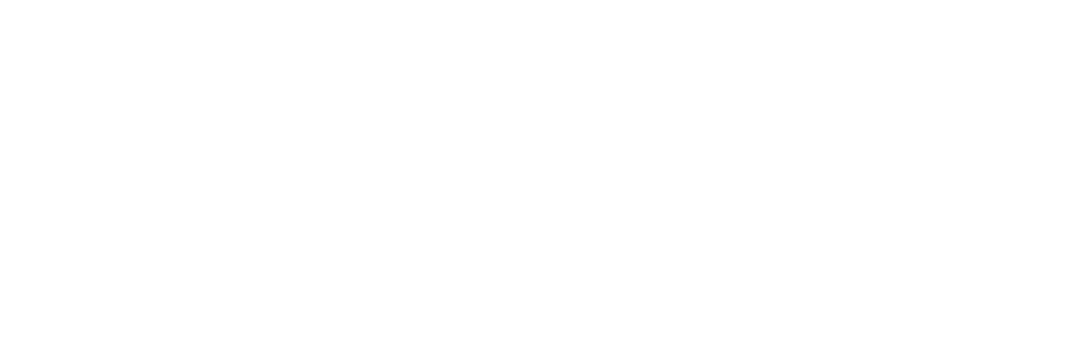  ġ 