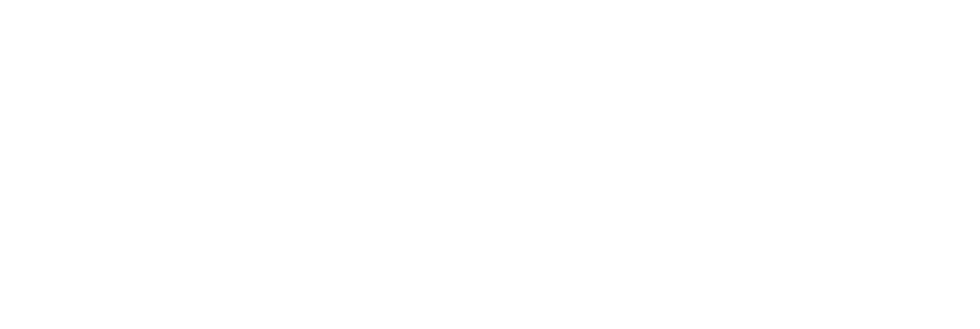  ̳Ʈ
