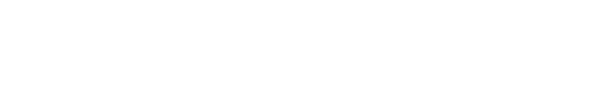  ̳Ʈ